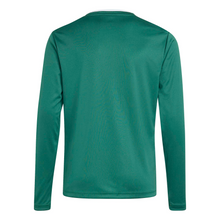 Load image into Gallery viewer, Junior Entrada 26 LS Shirt