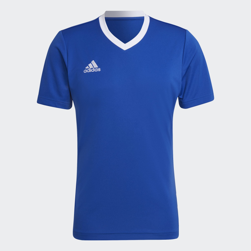 royal blue adidas shirt womens