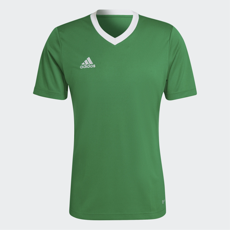 ADIDAS ENTRADA 22 JERSEY WOMEN TEAM GREEN WHITE