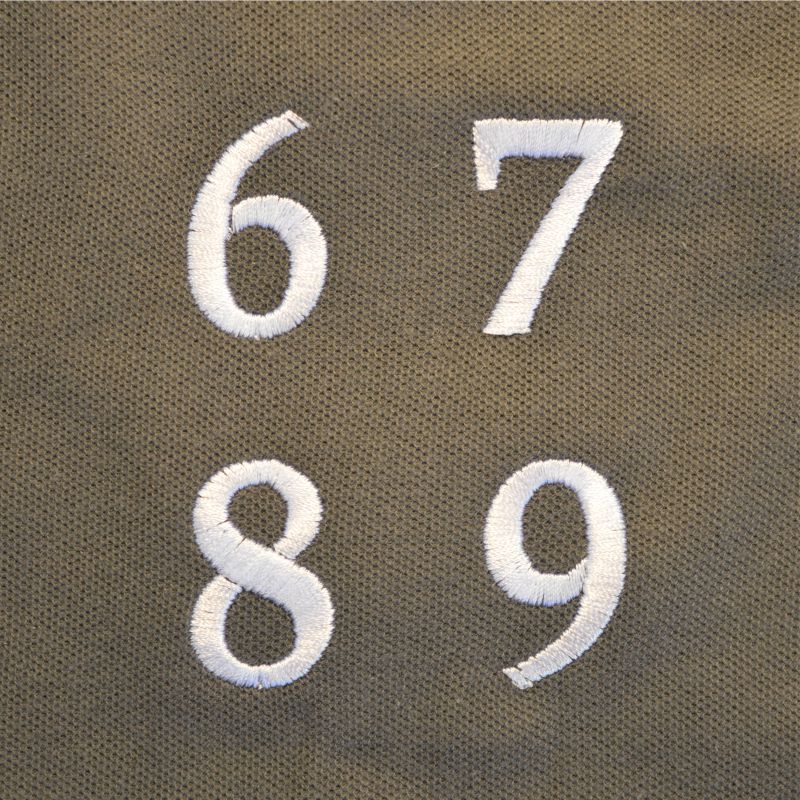 Embroidered Numbers Script